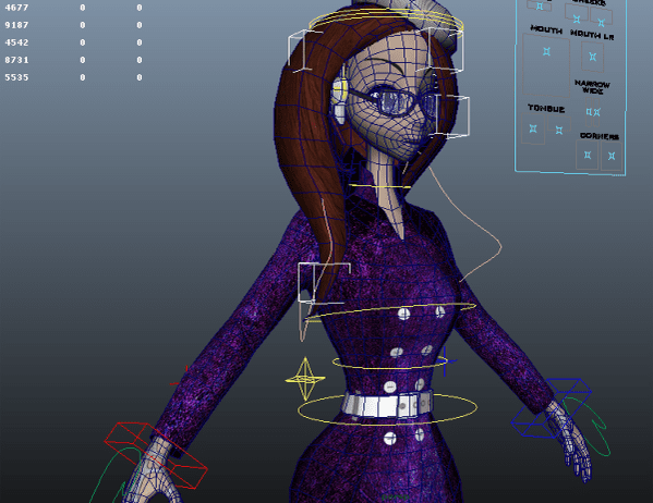 3D Rigging in Nepal