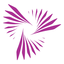 Custom Logo Motion Graphics in Nepal